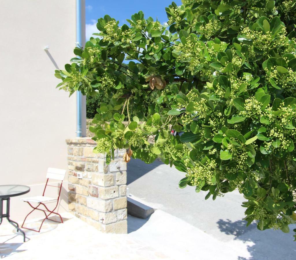 Vila Flora Sečovlje Exteriér fotografie