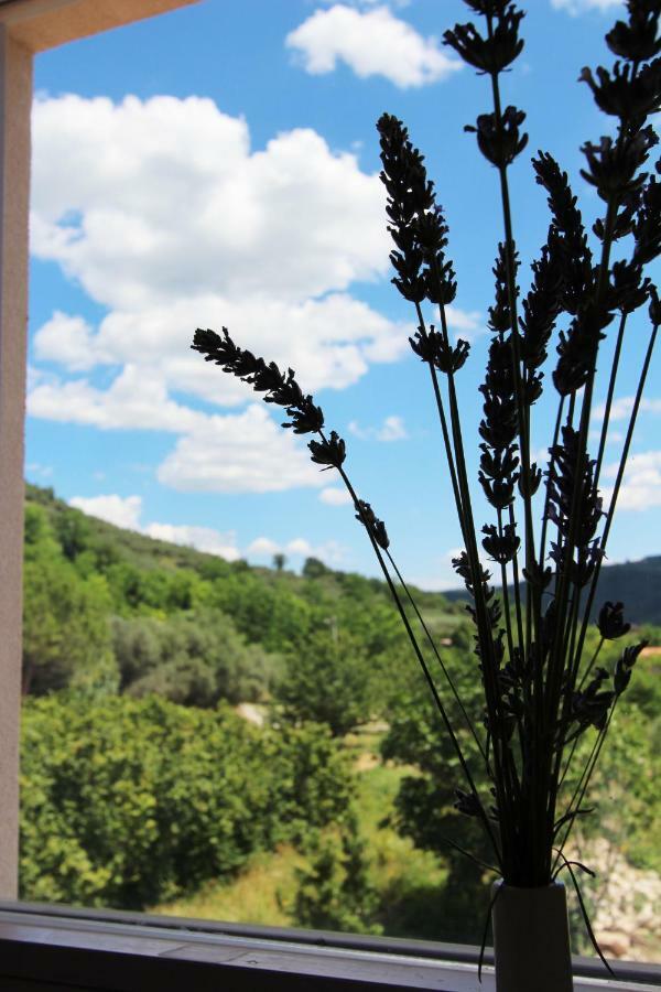 Vila Flora Sečovlje Exteriér fotografie